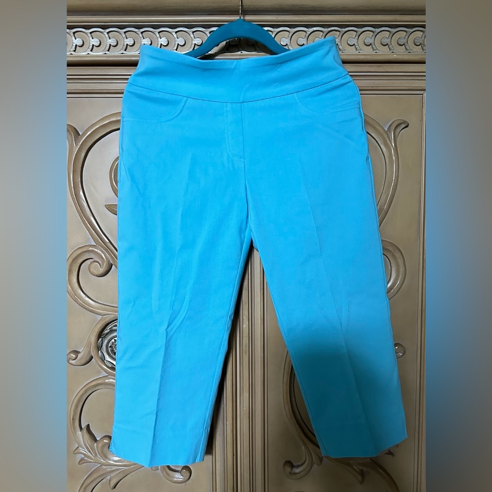 Ruby Rd Capris Stretchy Pull On Size 6 Petite Nwo… - image 1